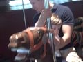 NYC Central Park Carousel Ride