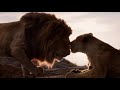 Lion King Circle Of Life Swedish Subs Trans