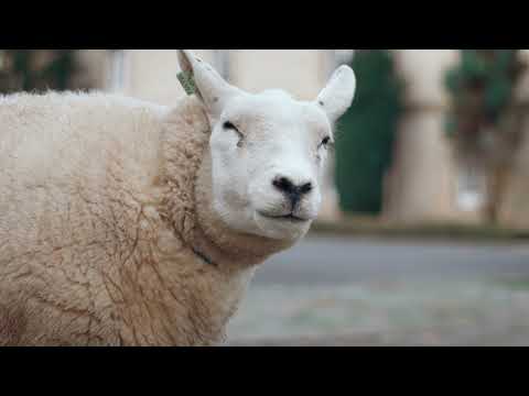 YEP!-Schoulfoire 2025 Teaser Secondary School FR