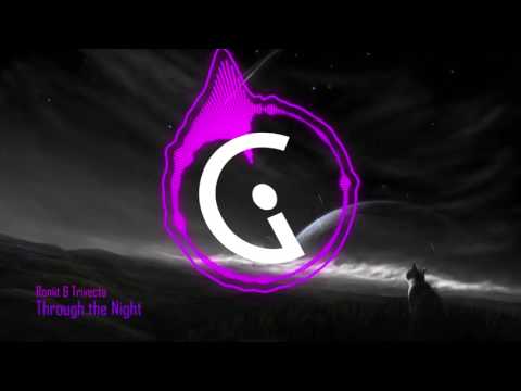 Roniit x Trivecta - Through The Night