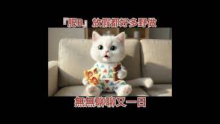 社畜貓『肥B』| 社畜ねこの『ファットB』 |Social animal 『Fat B』