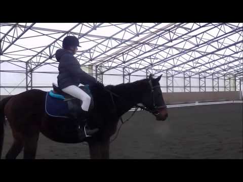 ZIMNÍ DREZURNÍ POHÁR JŠ  1. KOLO - 26.1.2019