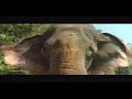 Malayalam Song Eekadandham Mahagayam Gajarajamanthram Malayalam Film Song