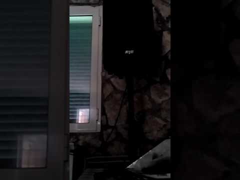 Medley di massimo Ranieri cantato da walterlevergrin