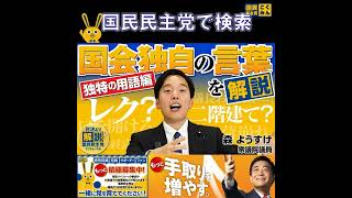 国民民主党  サブチャンネル 国会言葉 4月16日