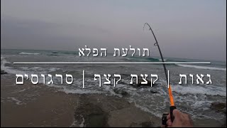 דיג - תולעת הפלא עובדת בכל מזג אוויר | עד שהמים יתקררו משחקים עם הסרגוסים 2025.