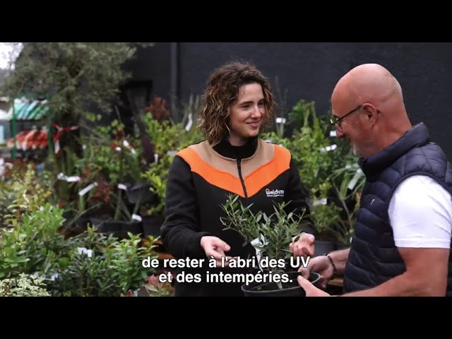 Les frères Palmer ouvrent une nouvelle unité Weldom à Cheylard