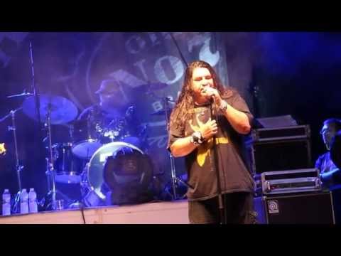 PolineROOOCK 2013 - DENIS & FRIENDS - Там /cover/