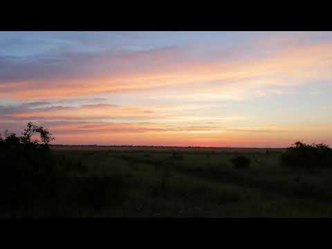 Dawn in Mihăilești, Giurgiu County (Zori de zi la Mihăilești, județul Giurgiu)