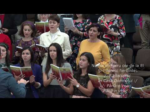 Duminică 24 Septembrie 2017 PM - Radu Oprea