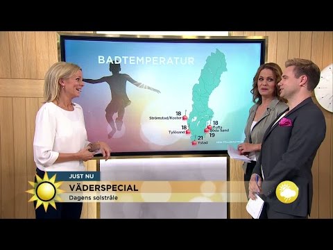 Blandad kompott i dagens väderprognos - Nyhetsmorgon (TV4)