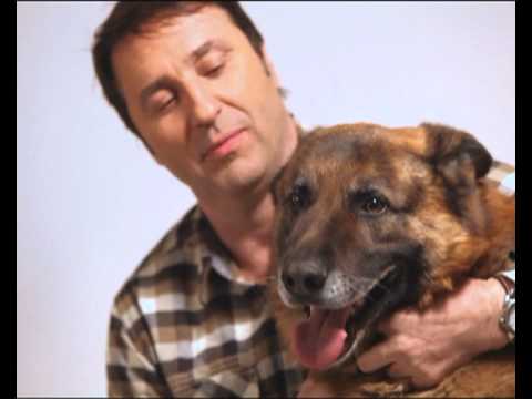 Jovan Memedović i Mange - Najbolji prijatelj