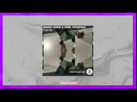 Sandr Voxon & Erbil Dzemoski - Forever