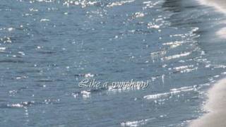 Iwi Laurel - Special Memory