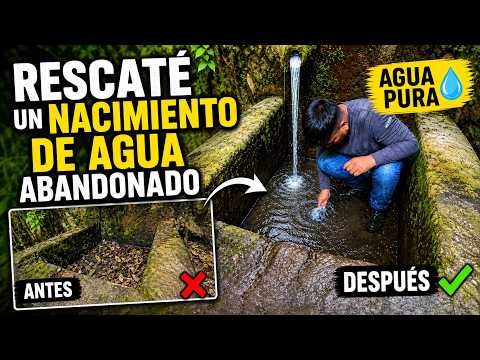 Rescate un nacimiento de agua y te sorprenderán los resultados