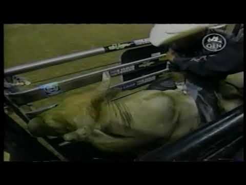 Tahonta bucks Mike White - 03 PBR Reno