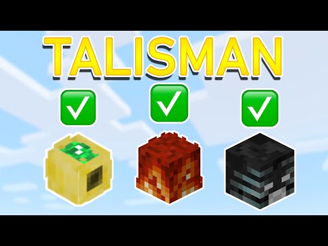 Ultimate Talisman List! Hypixel Skyblock