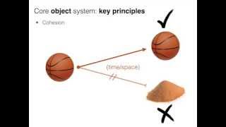 Core Knowledge (Stanford Psych 60)