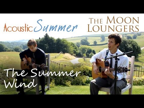 Summer Wind - The Moon Loungers