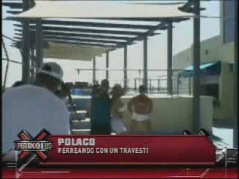 SuperXclusivo 3/29/10 - Polaco perreando con un travesti