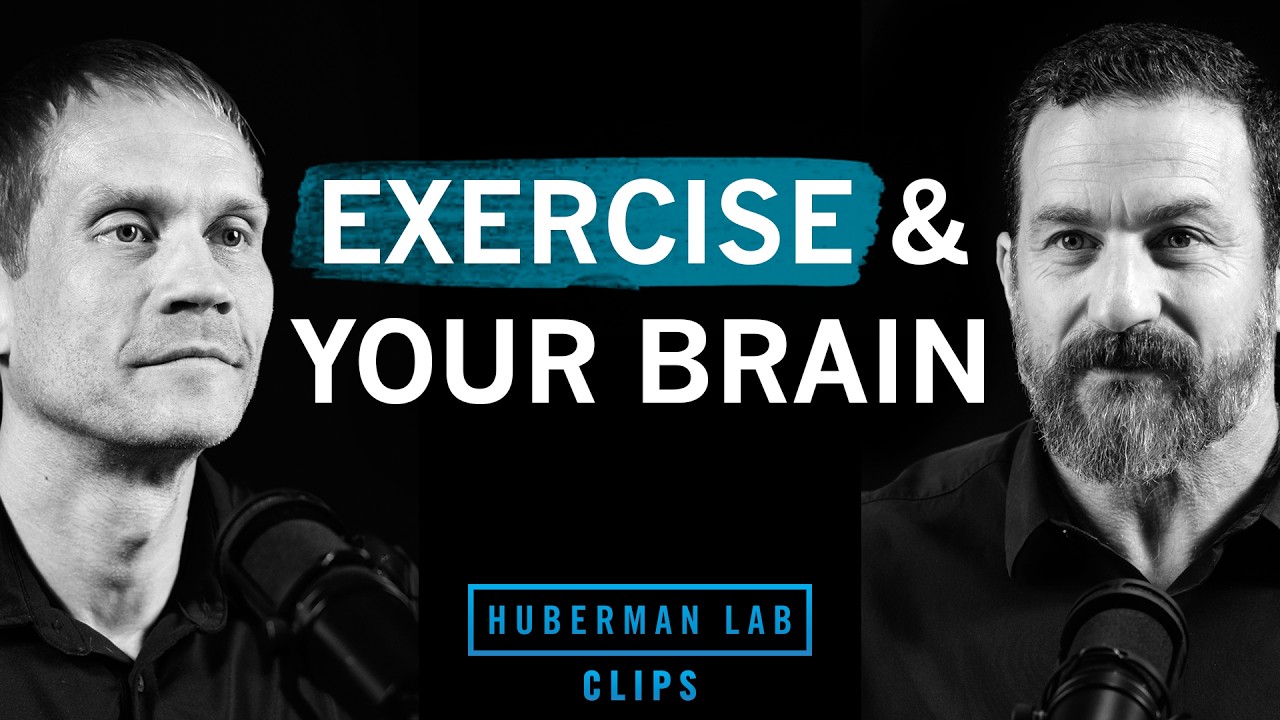How to Exercise For Improved Cognitive Function | Dr. Tommy Wood & Dr. Andrew Huberman