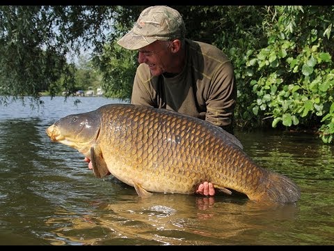 Dave Lane Carp Blog - Dave Lane Lands the 55lb Burghfield Common!