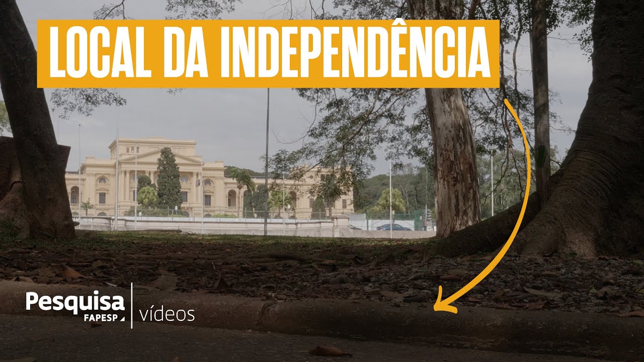 Qual foi o caminho de dom Pedro até o local da Independência?