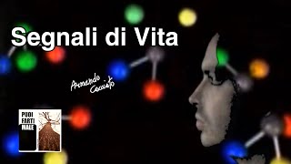 Armando Cacciato - Segnali Di Vita (Cover Battiato)