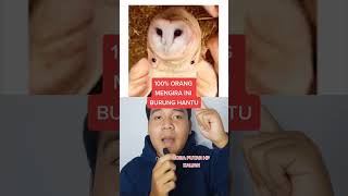 Download lagu Orang Mengira Ini Burung Hantuâť“#shorts #burunghantu mp3 Download lagu Orang Mengira Ini Burung Hantuâť“#shorts #burunghantu mp3