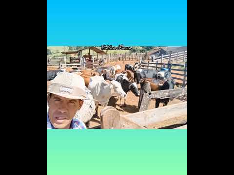 visitando fazenda Corrego fundo Carmo de Minas