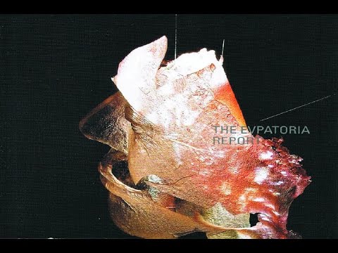 The Evpatoria Report - Golevka [Full Album]