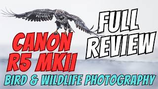 CANON R5 MKII - Wildlife Photography Full Review - Field Tested above the Arctic Circle in Alaska