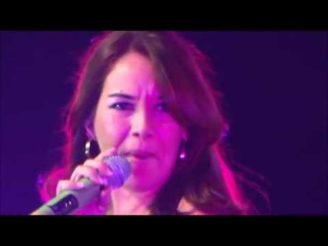 DVD GATINHA MANHOSA TÚNEL DO TEMPO ll