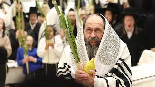 האדמו"ר מתולדות יהודה סטוטשין בעבודת הנענועים - תשפ״ז | Toldos Yehuda Stitchin - Na'aneim - 2026