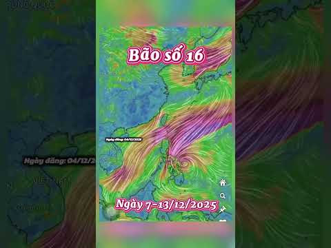 Bão số 16 dần hình thành, nguy cơ đổ bộ nam trung bộ. #tintuc #tinnong24h