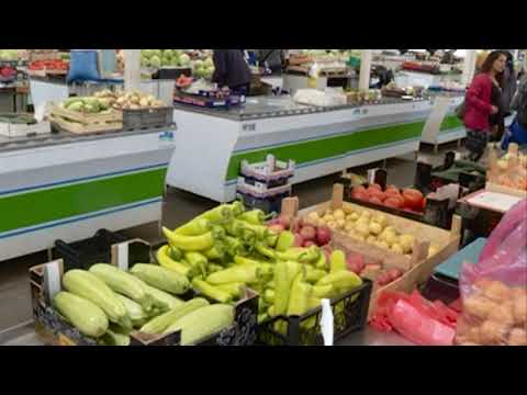 VISOKA CENA PARADAJZA  U SMEDEREVU, RAZLOZI I PERSPEKTIVE  05 08 2019