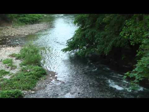 Wissahickon Moods Trailer
