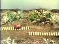 Classic Sesame Street Animation Workin On The Railroad
