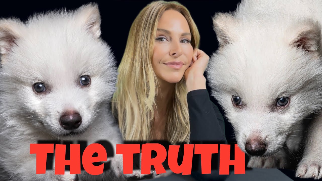 THE DIRE WOLF IS BACK! - THE TRUTH! - Ep 1