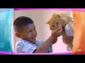 Barney Friends 2012 11 21 HD