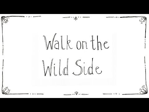 Murphy's Lore 'Walk on the wild side'
