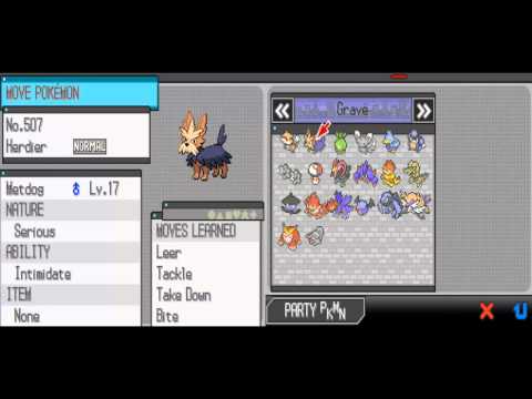 Pokémon White Nuzlocke Part 66 - Looking Back & Forward