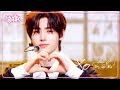 XO Only If You Say Yes ENHYPEN エンハイプン 엔하이픈 Music Bank KBS WORLD TV 240726