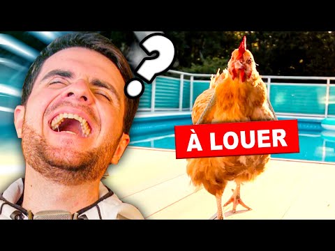 LES PIRES ENTREPRISES (genre de location de poules)