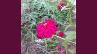 Download lagu Janji Tak Pernah Terucap mp3