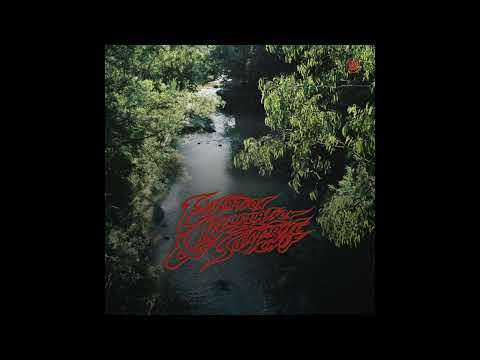 Surprise Chef - Education & Recreation - Full Album Stream