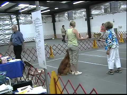 Rudi_BelAlton_110701a.mov