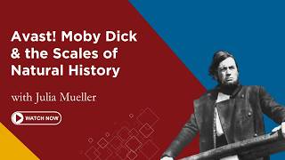 Avast! Moby Dick & the Scales of Natural History | Julia Mueller | First Friday Lecture