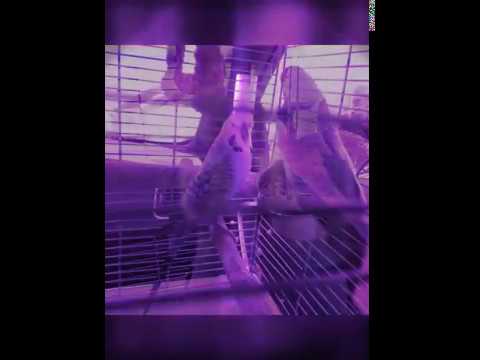 Oskar og Kina er en del av meg fortsatt