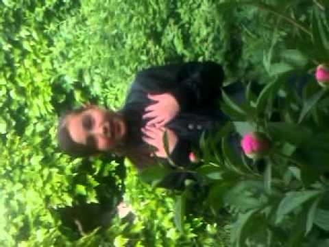 Georgiana Drumen. Multumim 500 de like`uri. By Diana